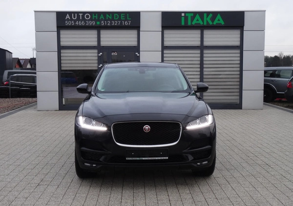 Jaguar F-Pace cena 89999 przebieg: 216000, rok produkcji 2016 z Stęszew małe 191